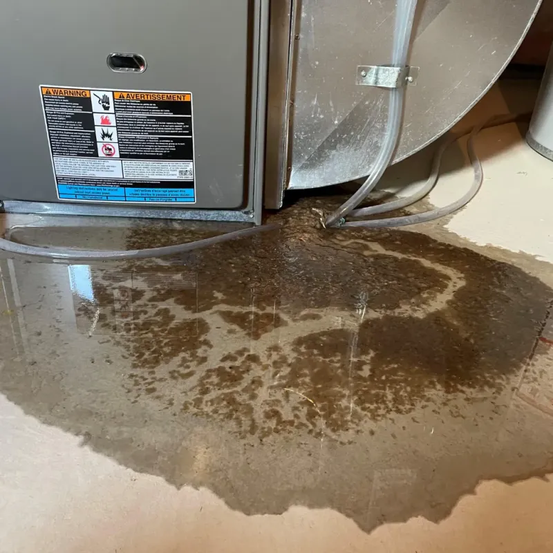 Appliance Leak Cleanup in Beach Haven West, NJ